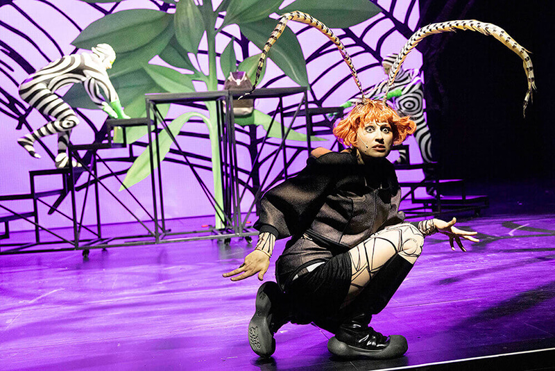 Wazn Teez?: Alexander Riemenschneider, David Hohmann